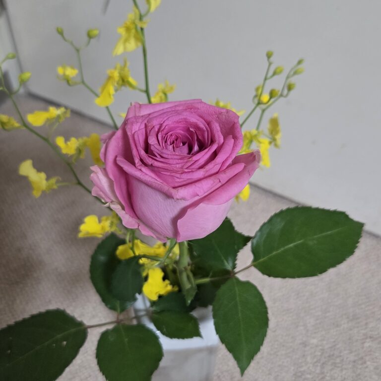 良い関係　良い按配